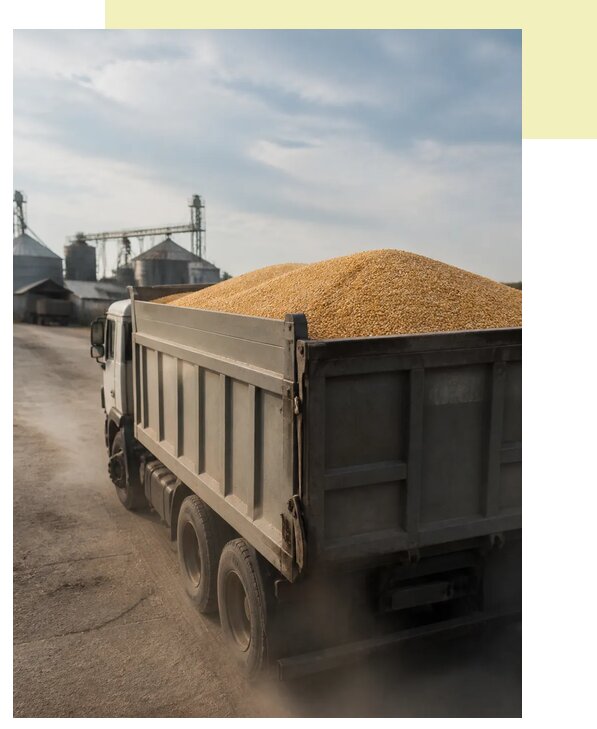 Перевозка сельхозпродукции навалом в Мегион по цене от 3128 р. | Агросервис-Мго